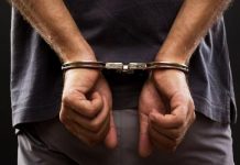 Καρδίτσα :Σκότωσε σκύλο με αγροτικό εργαλείο