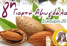 Γιορτή Αμυγδάλου στο Συκούριο