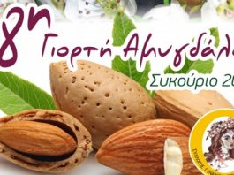 Γιορτή Αμυγδάλου στο Συκούριο